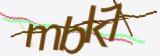 验证码，点击刷新