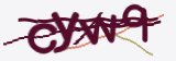 验证码，点击刷新